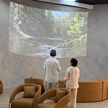 new u lounge projector screen